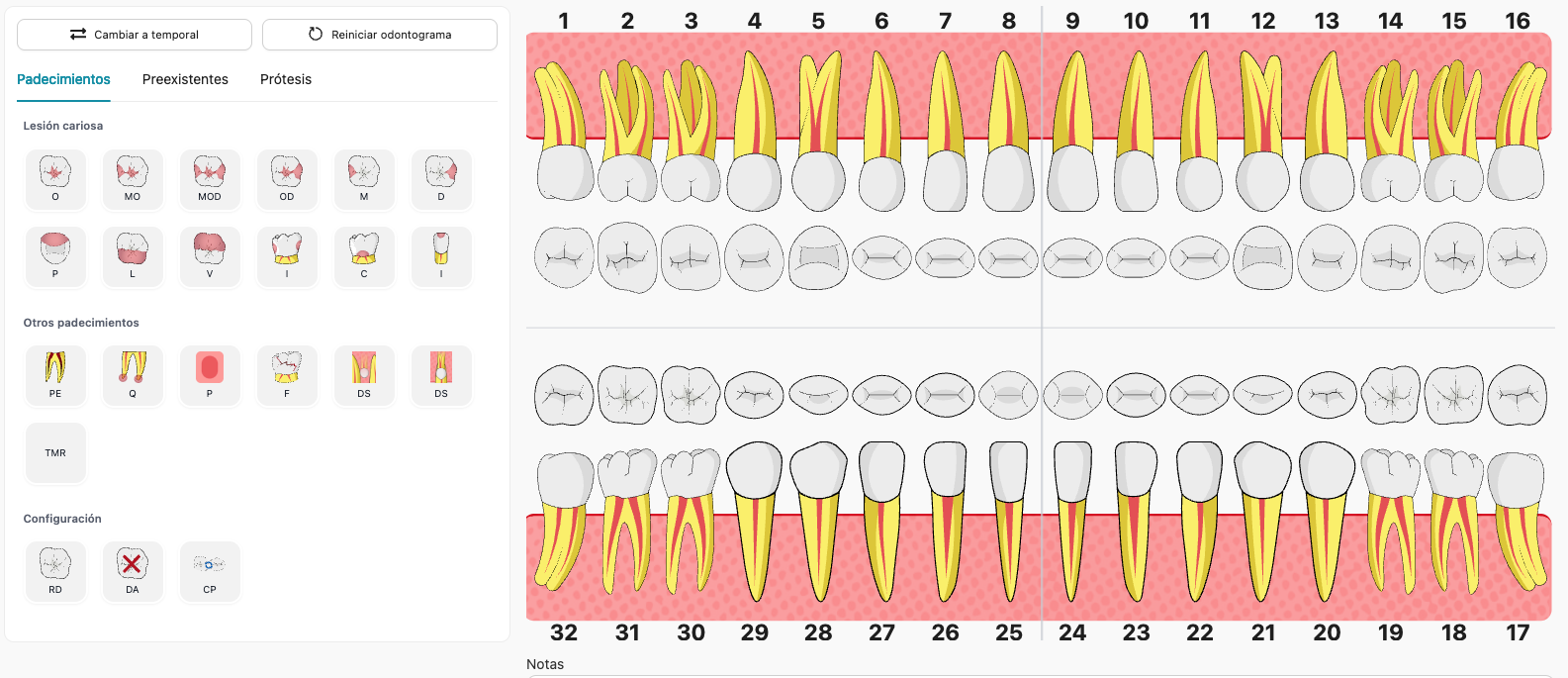 Odontograma interactivo en OneClinic